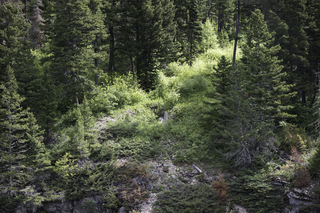 Filename=DSC_9946.jpg
Filesize=27095KiB
Dimensions=7360x4912
Date added=Sep 21, 2019 DSC_9946.jpg