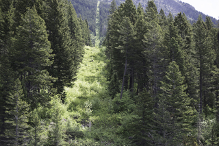 Filename=DSC_9948.jpg
Filesize=27346KiB
Dimensions=7360x4912
Date added=Sep 21, 2019 DSC_9948.jpg