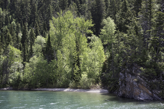 Filename=DSC_9966.jpg
Filesize=28194KiB
Dimensions=7360x4912
Date added=Sep 21, 2019 DSC_9966.jpg