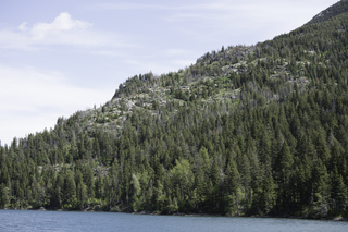 Filename=DSC_9967.jpg
Filesize=20487KiB
Dimensions=7360x4912
Date added=Sep 21, 2019 DSC_9967.jpg