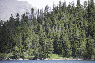 Filename=DSC_9969.jpg
Filesize=30227KiB
Dimensions=7360x4912
Date added=Sep 21, 2019 DSC_9969.jpg