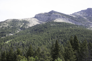 Filename=DSC_9973.jpg
Filesize=20488KiB
Dimensions=7360x4912
Date added=Sep 21, 2019 DSC_9973.jpg