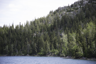 Filename=DSC_9974.jpg
Filesize=20366KiB
Dimensions=7360x4912
Date added=Sep 21, 2019 DSC_9974.jpg