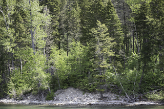 Filename=DSC_9979.jpg
Filesize=26591KiB
Dimensions=7360x4912
Date added=Sep 21, 2019 DSC_9979.jpg