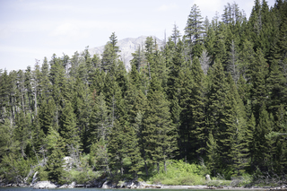 Filename=DSC_9980.jpg
Filesize=25524KiB
Dimensions=7360x4912
Date added=Sep 21, 2019 DSC_9980.jpg