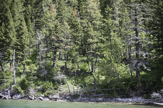 Filename=DSC_9983.jpg
Filesize=27758KiB
Dimensions=7360x4912
Date added=Sep 21, 2019 DSC_9983.jpg