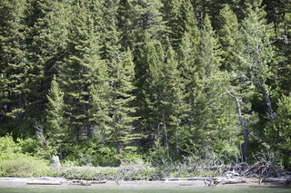 Filename=DSC_9984.jpg
Filesize=28315KiB
Dimensions=7360x4912
Date added=Sep 21, 2019 DSC_9984.jpg