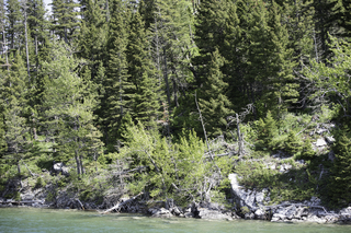 Filename=DSC_9986.jpg
Filesize=32296KiB
Dimensions=7360x4912
Date added=Sep 21, 2019 DSC_9986.jpg