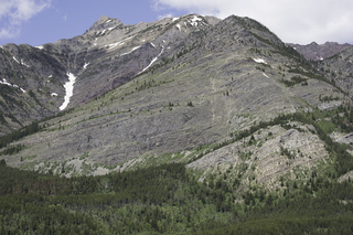 Filename=DSC_9994.jpg
Filesize=25113KiB
Dimensions=7360x4912
Date added=Sep 21, 2019 DSC_9994.jpg