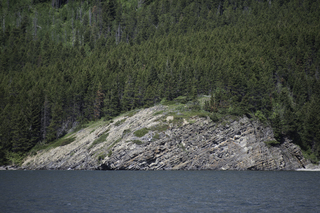 Filename=DSC_9996.jpg
Filesize=24964KiB
Dimensions=7360x4912
Date added=Sep 21, 2019 DSC_9996.jpg