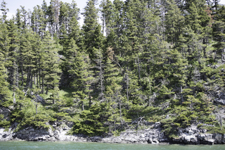 Filename=DSC_9998.jpg
Filesize=31974KiB
Dimensions=7360x4912
Date added=Sep 21, 2019 DSC_9998.jpg