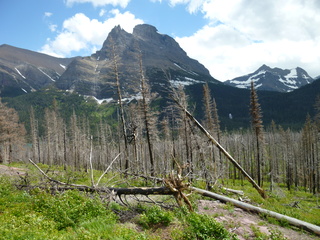 Filename=P1060820.JPG
Filesize=5880KiB
Dimensions=4320x3240
Date added=Sep 21, 2019 P1060820.JPG