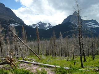 Filename=P1060821.JPG
Filesize=5730KiB
Dimensions=4320x3240
Date added=Sep 21, 2019 P1060821.JPG