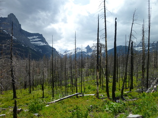 Filename=P1060822.JPG
Filesize=6104KiB
Dimensions=4320x3240
Date added=Sep 21, 2019 P1060822.JPG