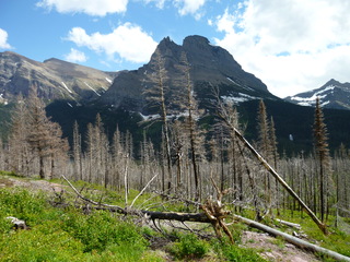 Filename=P1060825.JPG
Filesize=5562KiB
Dimensions=4320x3240
Date added=Sep 21, 2019 P1060825.JPG