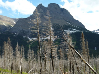 Filename=P1060826.JPG
Filesize=5901KiB
Dimensions=4320x3240
Date added=Sep 21, 2019 P1060826.JPG