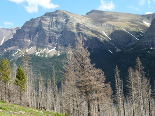 Filename=P1060827.JPG
Filesize=5364KiB
Dimensions=4320x3240
Date added=Sep 21, 2019 P1060827.JPG