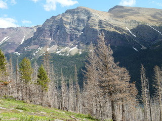 Filename=P1060828.JPG
Filesize=5424KiB
Dimensions=4320x3240
Date added=Sep 21, 2019 P1060828.JPG