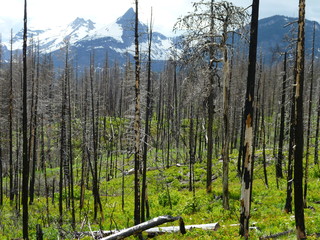 Filename=P1060829.JPG
Filesize=5721KiB
Dimensions=4320x3240
Date added=Sep 21, 2019 P1060829.JPG