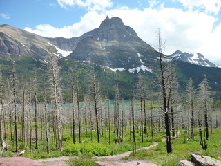 Filename=P1060831.JPG
Filesize=5660KiB
Dimensions=4320x3240
Date added=Sep 21, 2019 P1060831.JPG