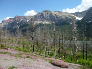 Filename=P1060832.JPG
Filesize=5274KiB
Dimensions=4320x3240
Date added=Sep 21, 2019 P1060832.JPG