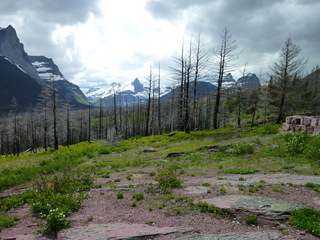 Filename=P1060834.JPG
Filesize=5510KiB
Dimensions=4320x3240
Date added=Sep 21, 2019 P1060834.JPG