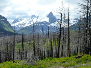 Filename=P1060836.JPG
Filesize=5757KiB
Dimensions=4320x3240
Date added=Sep 21, 2019 P1060836.JPG