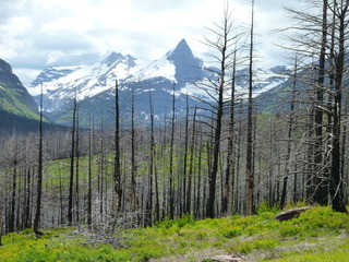 Filename=P1060837.JPG
Filesize=5630KiB
Dimensions=4320x3240
Date added=Sep 21, 2019 P1060837.JPG