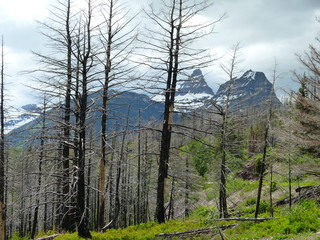 Filename=P1060838.JPG
Filesize=6020KiB
Dimensions=4320x3240
Date added=Sep 21, 2019 P1060838.JPG