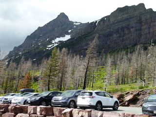 Filename=P1060839.JPG
Filesize=5349KiB
Dimensions=4320x3240
Date added=Sep 21, 2019 P1060839.JPG