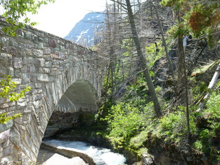 Filename=P1060841.JPG
Filesize=5862KiB
Dimensions=4320x3240
Date added=Sep 21, 2019 P1060841.JPG