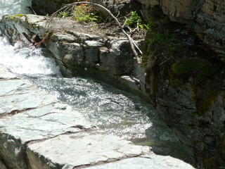 Filename=P1060844.JPG
Filesize=5642KiB
Dimensions=4320x3240
Date added=Sep 21, 2019 P1060844.JPG