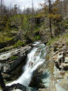 Filename=P1060850.JPG
Filesize=4682KiB
Dimensions=3240x4320
Date added=Sep 21, 2019 P1060850.JPG