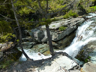 Filename=P1060852.JPG
Filesize=5604KiB
Dimensions=4320x3240
Date added=Sep 21, 2019 P1060852.JPG