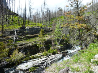 Filename=P1060855.JPG
Filesize=5692KiB
Dimensions=4320x3240
Date added=Sep 21, 2019 P1060855.JPG