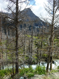 Filename=P1060858.JPG
Filesize=4848KiB
Dimensions=3240x4320
Date added=Sep 21, 2019 P1060858.JPG