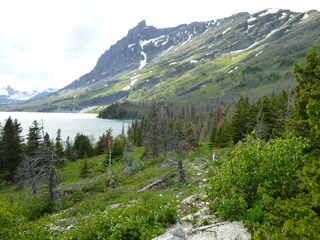 Filename=P1060874.JPG
Filesize=5995KiB
Dimensions=4320x3240
Date added=Sep 21, 2019 P1060874.JPG