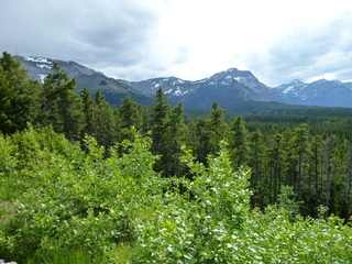 Filename=P1060879.JPG
Filesize=6165KiB
Dimensions=4320x3240
Date added=Sep 21, 2019 P1060879.JPG