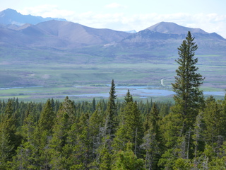 Filename=P1060882.JPG
Filesize=5622KiB
Dimensions=4320x3240
Date added=Sep 21, 2019 P1060882.JPG