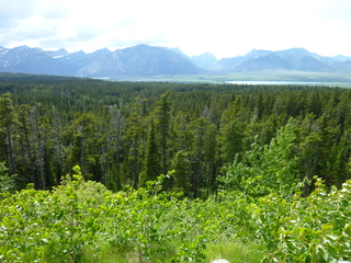 Filename=P1060883.JPG
Filesize=5881KiB
Dimensions=4320x3240
Date added=Sep 21, 2019 P1060883.JPG