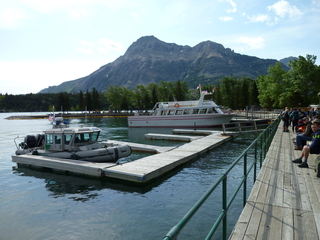 Filename=P1060884.JPG
Filesize=5587KiB
Dimensions=4320x3240
Date added=Sep 21, 2019 P1060884.JPG