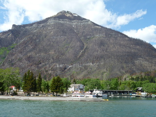 Filename=P1060906.JPG
Filesize=5637KiB
Dimensions=4320x3240
Date added=Sep 21, 2019 P1060906.JPG