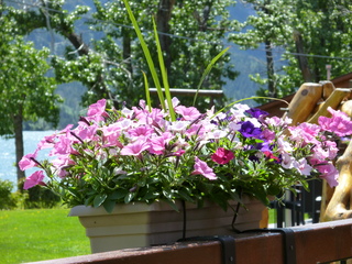 Filename=P1060922.JPG
Filesize=5721KiB
Dimensions=4320x3240
Date added=Sep 21, 2019 P1060922.JPG