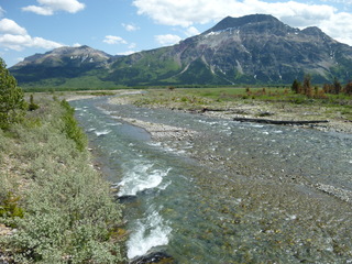 Filename=P1060936.JPG
Filesize=5487KiB
Dimensions=4320x3240
Date added=Sep 21, 2019 P1060936.JPG