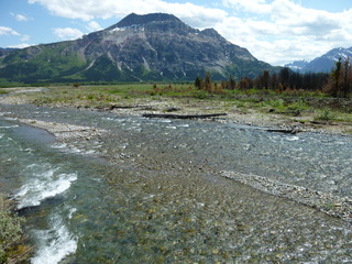 Filename=P1060937.JPG
Filesize=5468KiB
Dimensions=4320x3240
Date added=Sep 21, 2019 P1060937.JPG