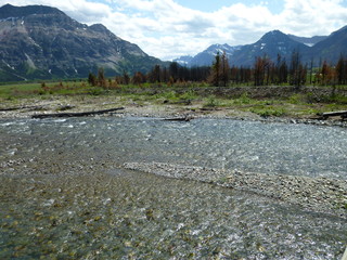 Filename=P1060939.JPG
Filesize=5614KiB
Dimensions=4320x3240
Date added=Sep 21, 2019 P1060939.JPG