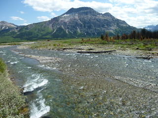 Filename=P1060940.JPG
Filesize=5482KiB
Dimensions=4320x3240
Date added=Sep 21, 2019 P1060940.JPG