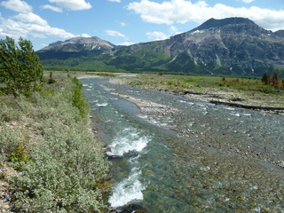 Filename=P1060941.JPG
Filesize=5452KiB
Dimensions=4320x3240
Date added=Sep 21, 2019 P1060941.JPG