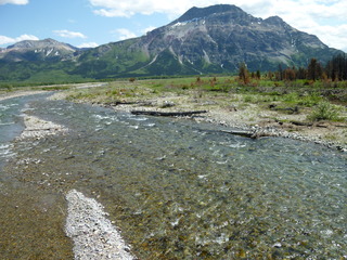 Filename=P1060945.JPG
Filesize=5558KiB
Dimensions=4320x3240
Date added=Sep 21, 2019 P1060945.JPG