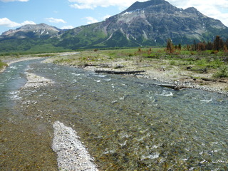 Filename=P1060946.JPG
Filesize=5634KiB
Dimensions=4320x3240
Date added=Sep 21, 2019 P1060946.JPG